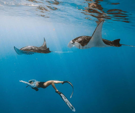 Manta Point Snorkeling and West Nusa Penida Tour