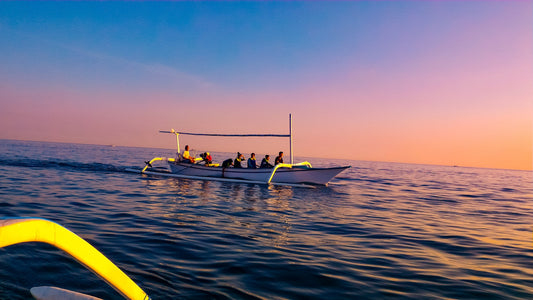 Bali Dolphin Watching and Ulun Danu Temple Private Day Trip