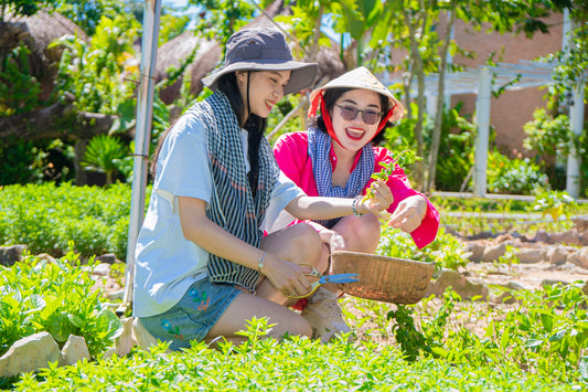Cooking Class, Candle Workshop & Wellness Retreat in Phu Quoc
