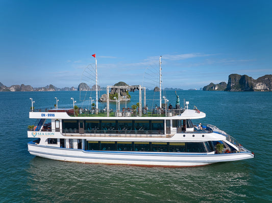 Sea Lion Day Cruise: Ha Long Bay, Sung Sot, Ti Top
