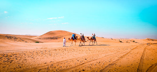 Abu Dhabi Desert Half - Day Camel Trek Adventure