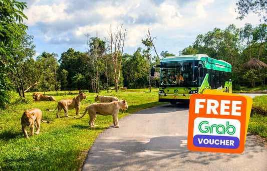 Vinpearl Safari Phu Quoc Ticket