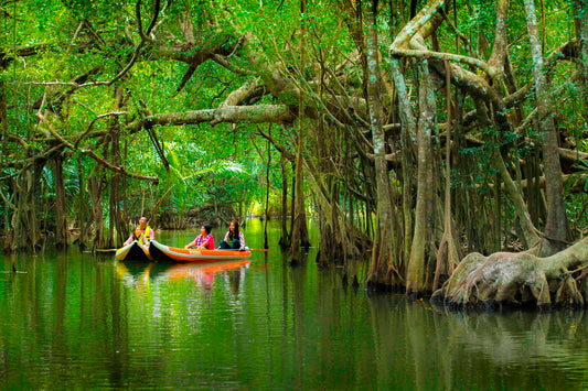 The Sri Phang Nga: Kayak, Trek & Waterfall Adventure From Khao Lak