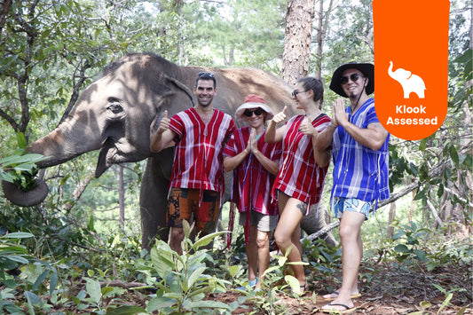 Elephant Sanctuary in Chiang Mai by Elephant Dream Project