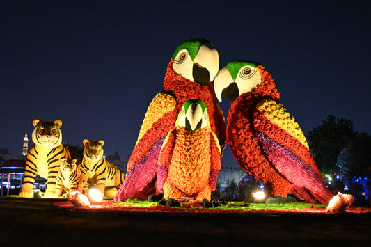 Dubai Garden Glow Ticket