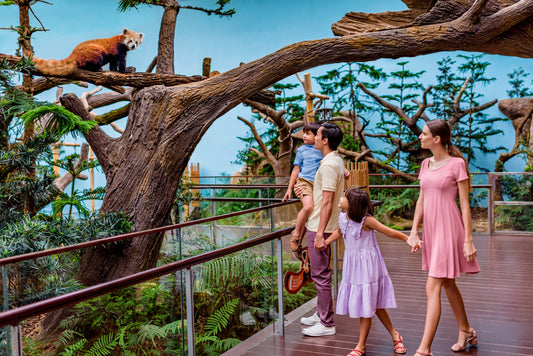 River Wonders Ticket | Mandai Wildlife Reserve, Singapore