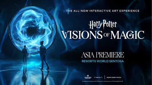 Harry Potter: Visions of Magic
