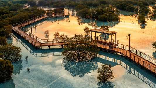 Jubail Mangrove Park ticket in Abu Dhabi
