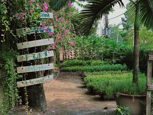 Private Farm Tour & Cooking Class in Ho Chi Minh City