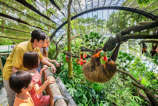 Singapore Zoo Ticket | Mandai Wildlife Reserve, Singapore