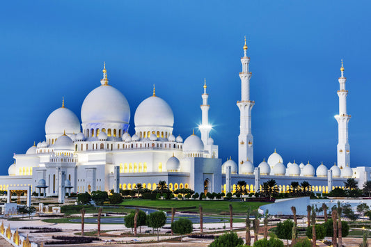 Premium Abu Dhabi Sheikh Zayed Mosque and Sightseeing from Dubai