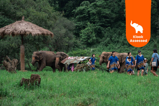 New Elephant Home Elephant Conservation Center in Chiang Mai