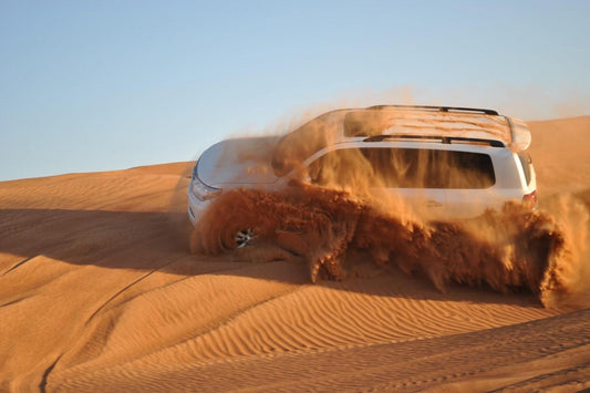 Desert Safari Tours in Dubai - Morning, Evening and Overnight