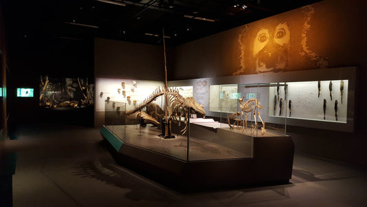 Lee Kong Chian Natural History Museum Ticket in Singapore