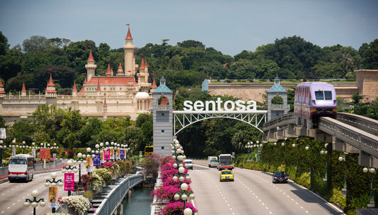 Sentosa Express Train Ticket