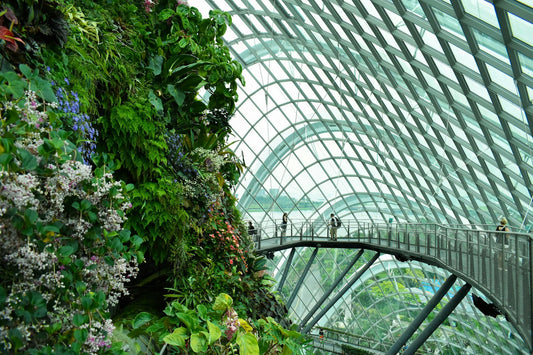 Singapore: Icons of the Lion City with Gardens by the Bay