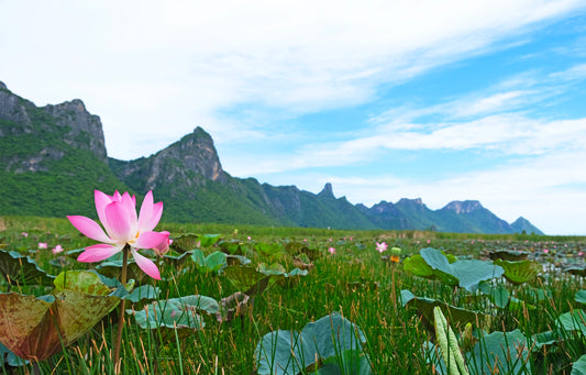 Hua Hin Khao Sam Roi Yot National Park Customized Day Tour