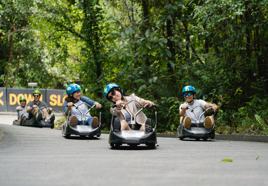 Skyline Luge Singapore Ticket