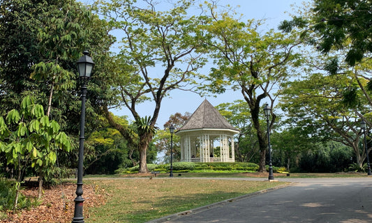 Singapore Signature Tour (Chinatown & Botanic Gardens)