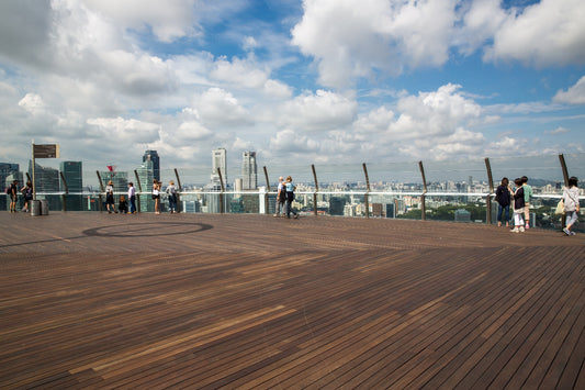 Marina Bay Sands Skypark Observation Deck Ticket