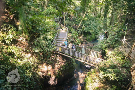 Sacred Monkey Forest Ubud Ticket
