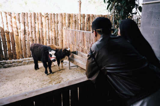 Fresh Garden and Fresh Zoo Ticket in Da Lat City