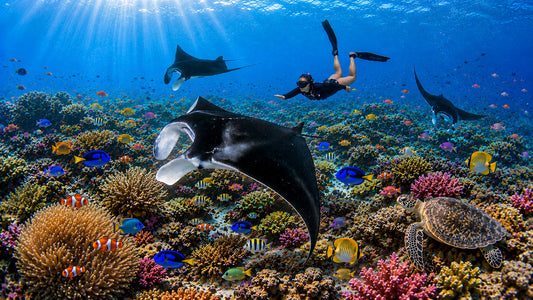Snorkeling Experience in Nusa Penida (3-4 Snorkeling Spots)