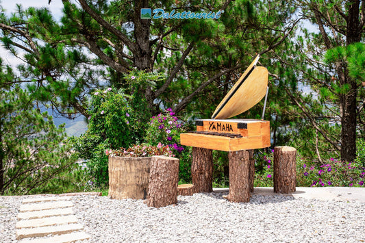 Lang Biang Mountain Ticket