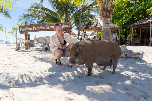 Koh Samui Island Hopping & Snorkeling Tour: Coral and Pig Island