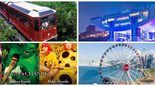 Hong Kong Private Transfers to or from Disneyland, Ocean Park, NP 360, The Peak
