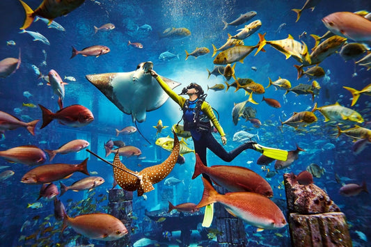 Scuba Diving Experience at The Lost World Aquarium Dubai