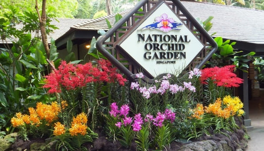 National Orchid Garden Singapore