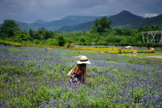 4-Day - 5-Day Khao Yai Full Experience Private Car Charter Tour from Bangkok