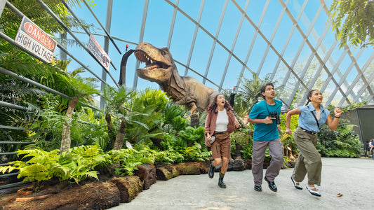 Gardens by the Bay Ticket