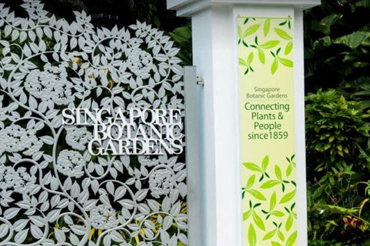 [ Exclusive] Singapore Garden City Walking Tour