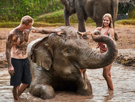 Bali Zoo Ticket