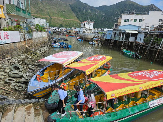 Tai O Sightseeing Boat | 20mins Tai O Boat Trip