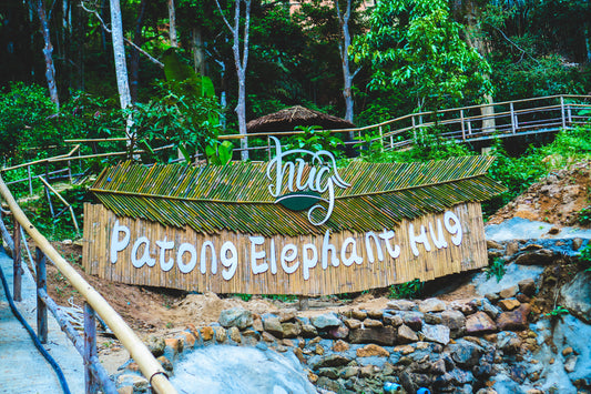 Patong Elephant Hug Experience in Phuket