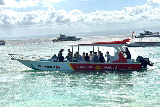 Manta Point Snorkeling & Land Coast East Tour Nusa Penida