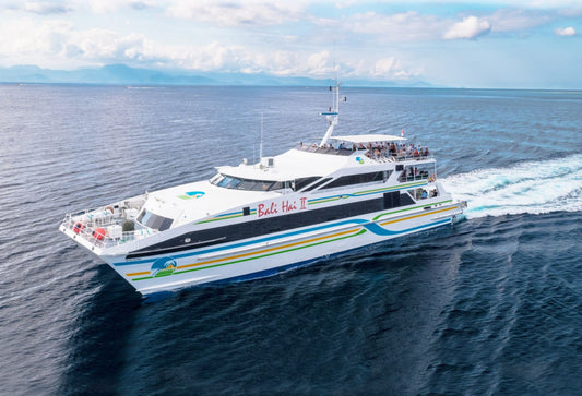 Bali to Nusa Lembongan Beach Day Cruise with BBQ Lunch
