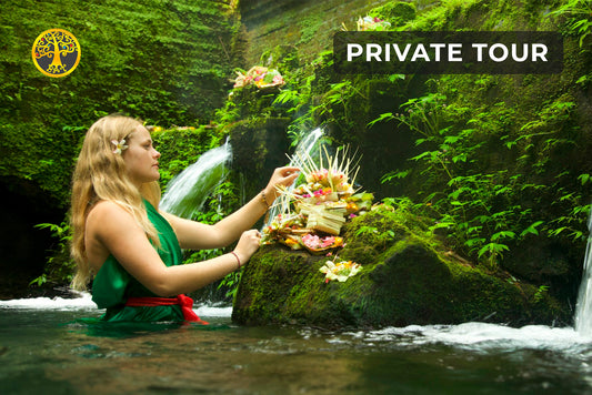 Bali Holy Bath and Jungle Swing Private Day Trip