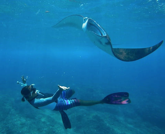 Depart From Lembongan - 3 Spots Snorkeling Experience in Nusa Penida