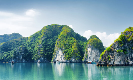 Thang Loi Day Cruise: Ha Long Bay, Sung Sot, Ti Top