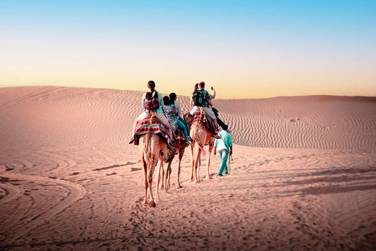 Abu Dhabi Desert Half - Day Camel Trek Adventure