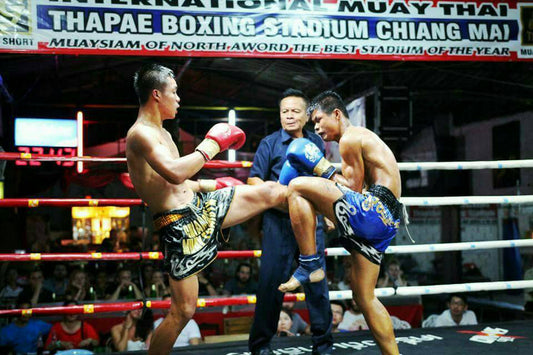 Chiang Mai Thaphae Boxing Stadium Ticket