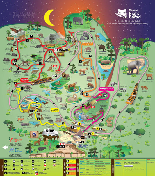 Night Safari Ticket | Mandai Wildlife Reserve, Singapore