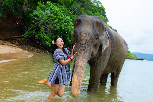 Elephant and Beach Experience at Phuket Siray Elephant Care Camp