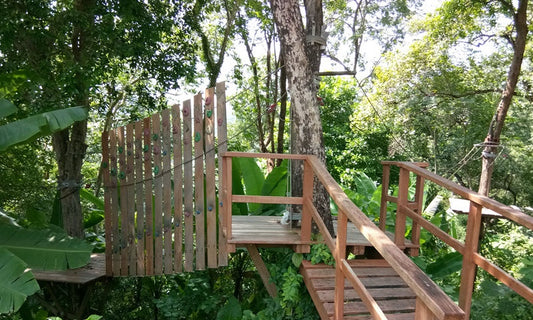 Zipline Experience at Phuket Tarzan Adventure Park