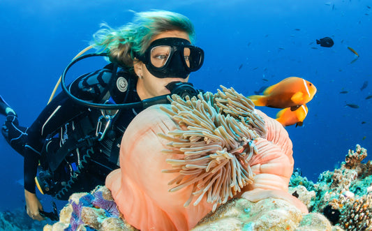 Beginner Scuba Diving Experience in Bali