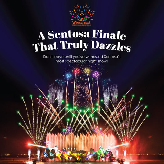 Wings of Time Fireworks Symphony Ticket in Singapore